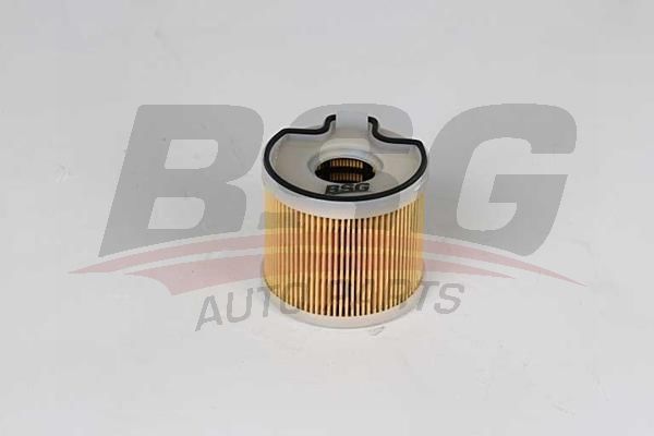Citroen Jumpy 1994-2006 Arası 2.0 HDi 110 16V BSG Marka Yakıt Filtresi