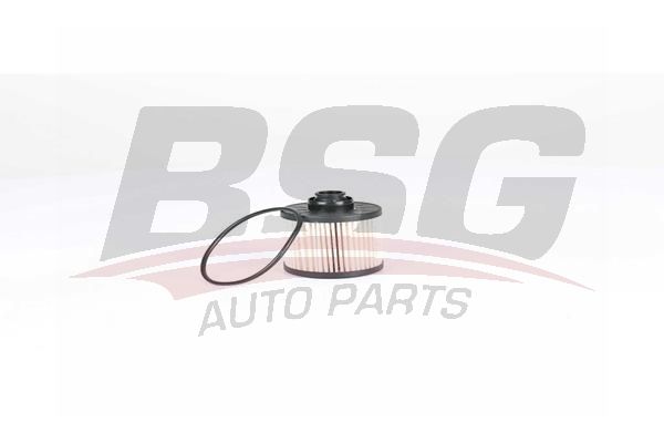 Citroen Berlingo 2008-2012 Arası 1.6 HDI 75 BSG Marka Yakıt Filtresi