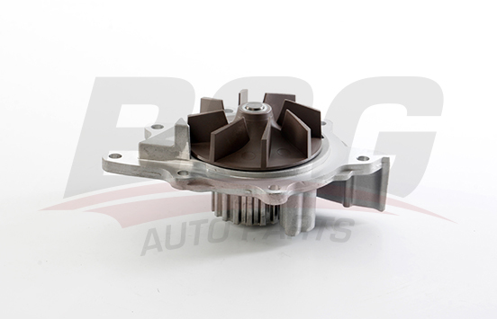 Citroen C-Crosser 2007-2011 Arası 2.2 HDi BSG Marka Devirdaim Su Pompası