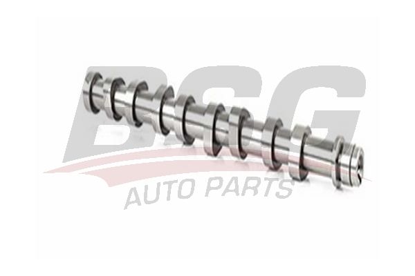 Citroen Xsara 1997-2005 Arası 1.4 HDi BSG Marka Eksantrik Mili