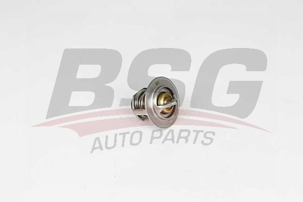 Opel Zafira 2005-2015 Arası 1.7 CDTI VAN BSG Marka Termostat