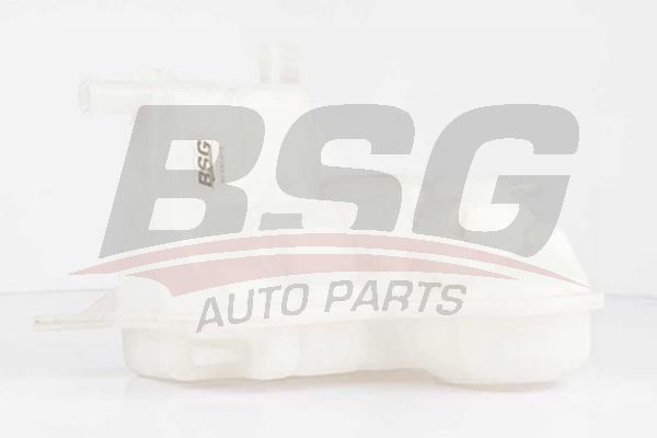 Audi A6 2004-2011 Arası 3.0 TDI quattro, 3.2 FSI, 2.0 TDI, 3.2 FSI quattro, 2.7 TDI BSG Marka Radyatör Yedek Su Deposu