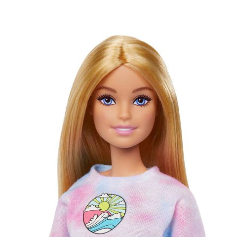 Barbie Stilist Bebekler Oyun Setleri HNK95