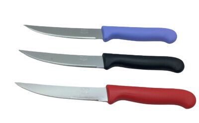 TUJO KNIVES-2280 ( TEKLİ ) ( BÜYÜK ) ( TIRTIRLI ) SEBZE & EKMEK BIÇAK ( RENKLİ PLSATİK SAPLI )*12X32