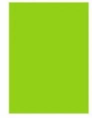 TİCON 78616 FON KARTONU 50X70 100 LÜ AÇIK YEŞİL