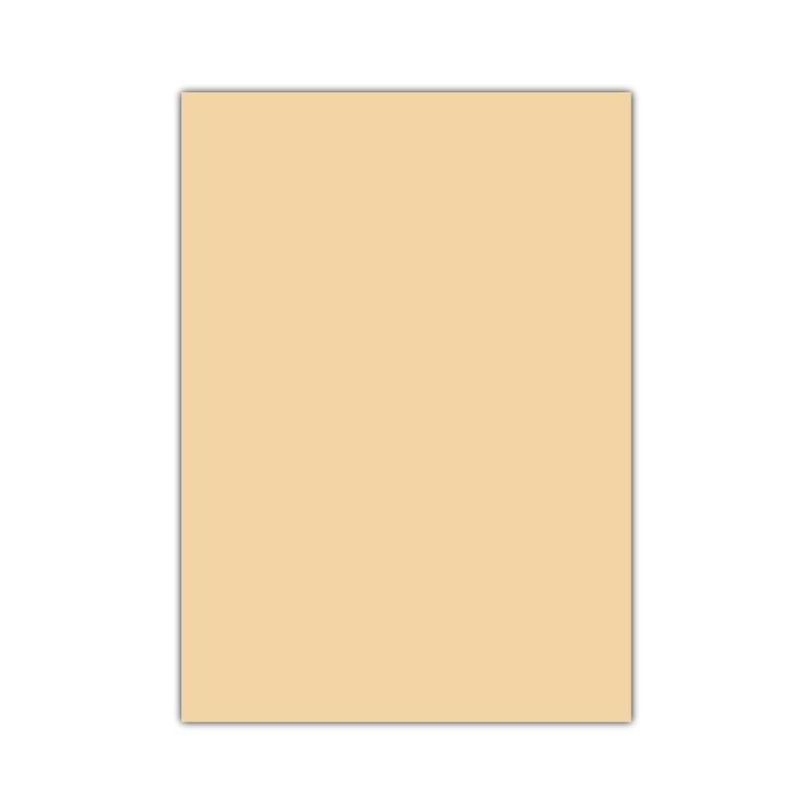 TİCON 283509 EVA KLASİK YAPIŞKANLI 50x70 CM 10 LU TEN RENGİ