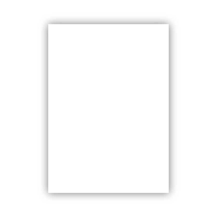 BİGPOİNT BP700-01 FON KARTONU 50X70CM 160 GRAM BEYAZ 100' LÜ