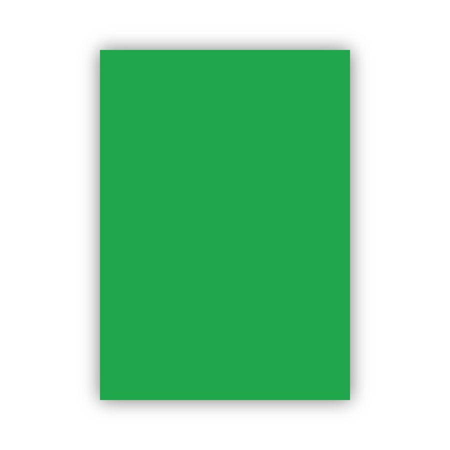 BİGPOİNT BP700-55 FON KARTONU 50X70CM 160 GRAM YEŞİL