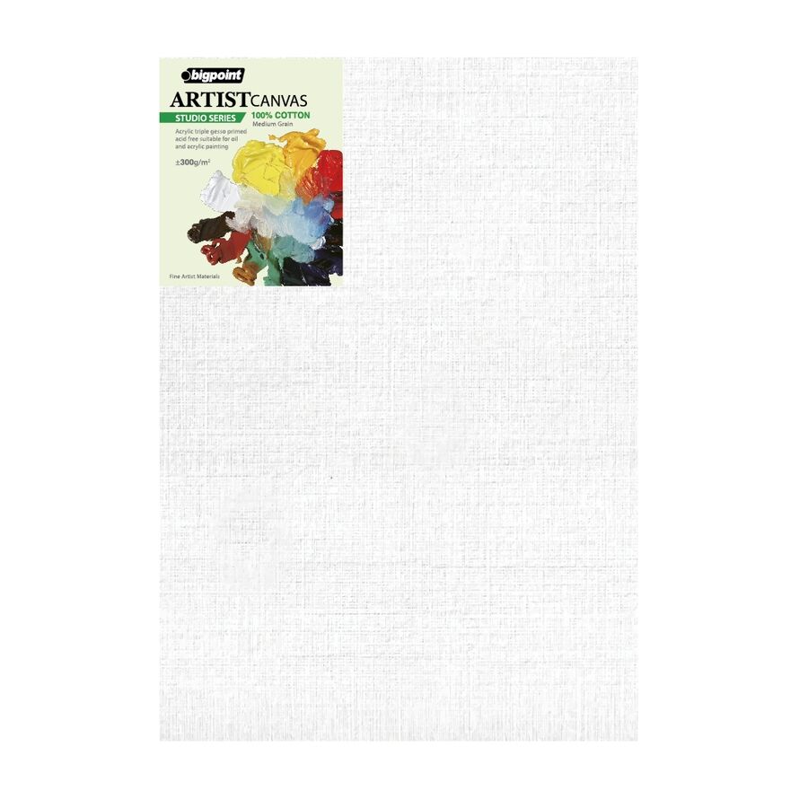 BİGPOİNT BPPE5308-3550 STUDİO TUVAL 35X50CM - 300GRAM