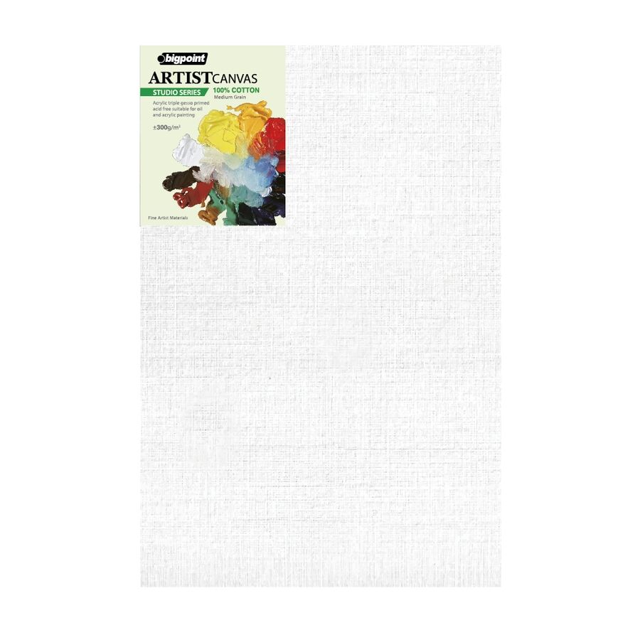 BİGPOİNT BPPE5308-4060 STUDİO TUVAL 40X60CM - 300GRAM