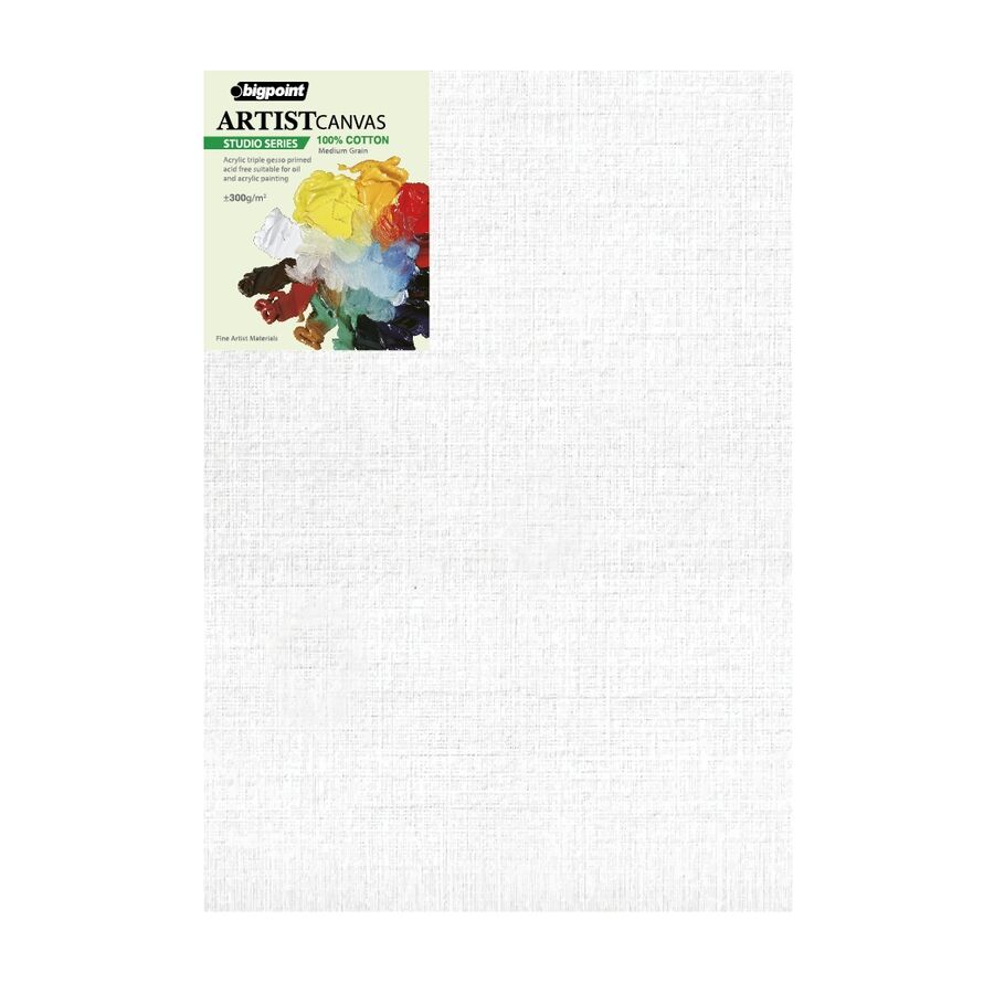 BİGPOİNT BPPE5308-70100 STUDİO TUVAL 70X100CM - 300GRAM