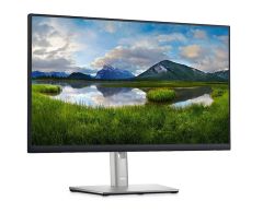 Dell 23.8'' P2422H 5ms FHD Vga Hdmi DP Pivot IPS