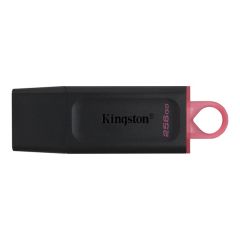 Kingston 256GB Exodia Usb 3.2 Gen1 DTX/256GB