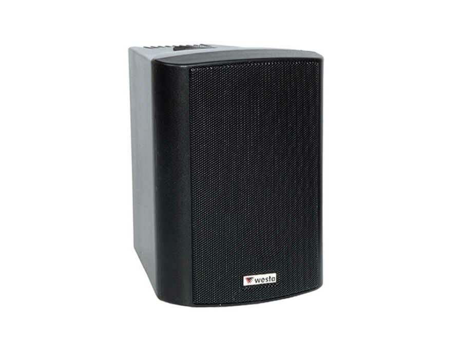 Westa WS-4TB - 4'' 10cm 100W 16Ohm - Plastik Trafolu Kabin Hoparlör - Siyah WS-4TB