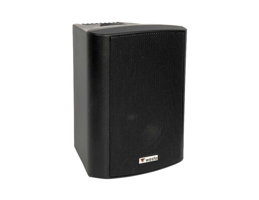 Westa WS-8TB - 8'' 20cm 180W 16Ohm - Plastik Kabin Hoparlör - Siyah WS-8TB