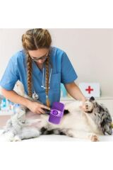 Evcil Hayvan Tarama Fırçası Otomatik Temizlenebilen Tuşlu Pratik Kedi Köpek Tüy Toplama Fırçası