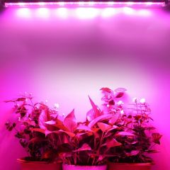 Grow Led Full Spectrum Led Bitki Büyütme Ledi 12V