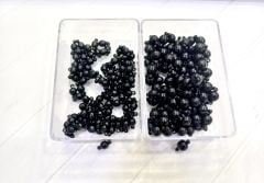 Küre Siyah Mıknatıs Kapamalar(6 mm-8 mm)