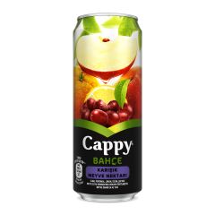 Cappy Karışık Meyve Nektarı 330Ml