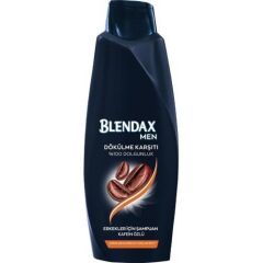 Blendax Şampuan Erkeklere Özel Dökülme Karşıtı Kafein Özlü 500 Ml
