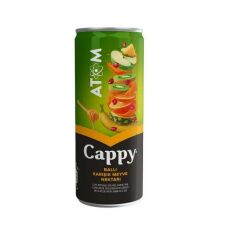 Capyy Atom Meyve Suyu 250 Ml