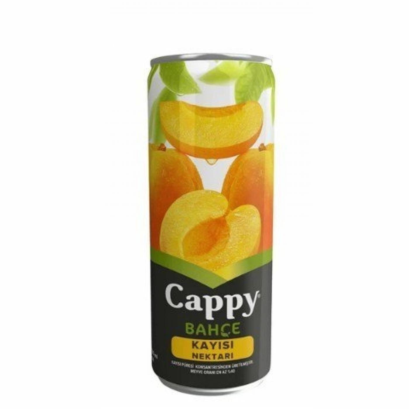 Cappy Meyve Suyu Kayısı 250 Gr