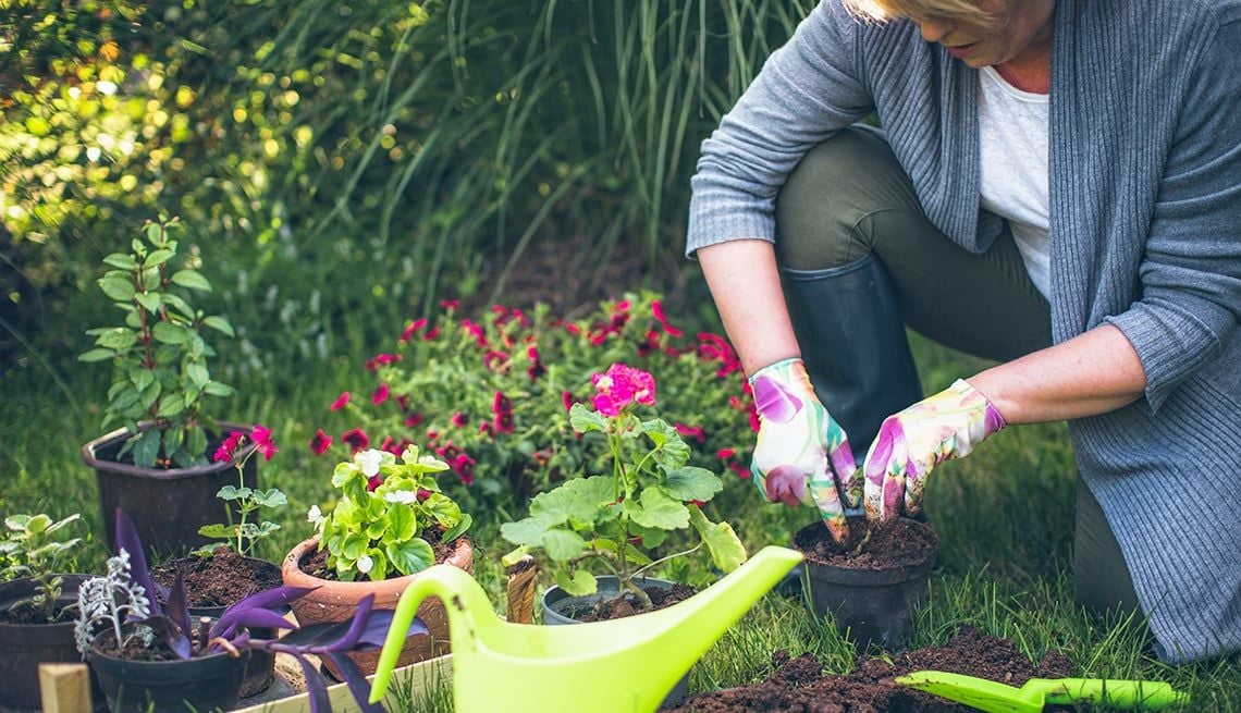 İlk Bahar Bahçe Bakımı Nasıl Yapılmalı?