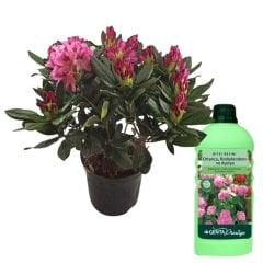 Genta Prestige Ortanca Rododendron ve Açelya Sıvı Bitki Besini -  1 lt