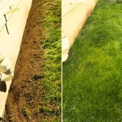 Genta Prestige Tamir Yama Çimi - Universal Repair Lawn - 1 kg