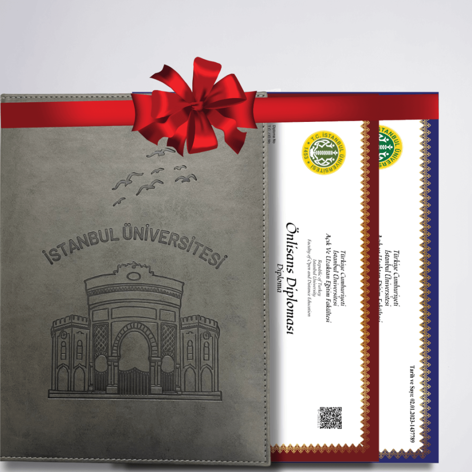 Özel Tasarım GRİ SICAK BASKI Diploma Dosyası Ve Sedef Kağıda Özel Baskı