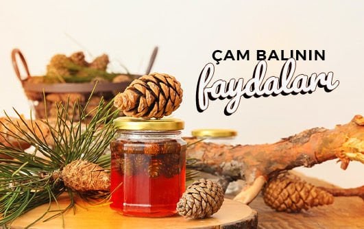 Çam Balının Faydaları