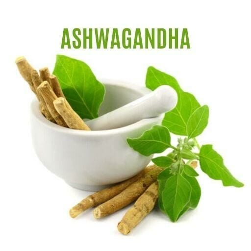 Ashwagandha Nedir? Ashwagandha Faydaları ve Zararları Nelerdir?