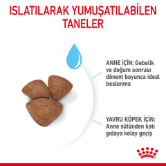 ﻿Royal Canin Mini Starter Mother & Babydog Yavru Köpek Maması 4 Kg