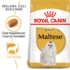 Royal Canin Maltese Adult Yetişkin Köpek Maması 1.5 Kg