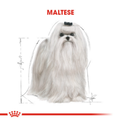 Royal Canin Maltese Adult Yetişkin Köpek Maması 1.5 Kg