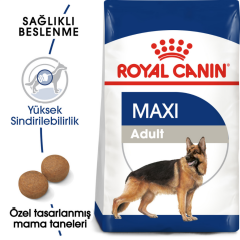 Royal Canin Maxi Adult Büyük Irk Yetişkin Köpek Maması 15 Kg