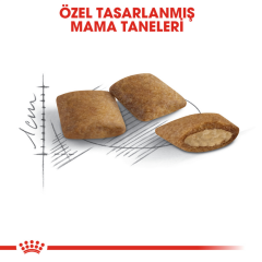 Royal Canin Ageing 12+ Yaşlı Kedi Maması 2 Kg