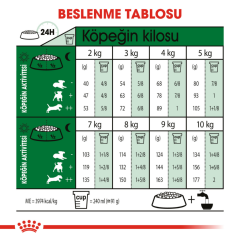 Royal Canin Mini Adult 8+ Yaşlı Köpek Maması 2 Kg