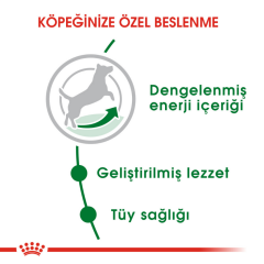 ﻿Royal Canin Mini Adult Küçük Irk Yetişkin Köpek Maması 4 Kg