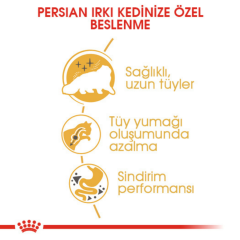 Royal Canin Persian Yetişkin Kedi Maması 4 Kg