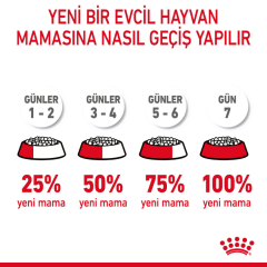 ﻿Royal Canin Hair & Skin Care Yetişkin Kedi Maması 4 Kg