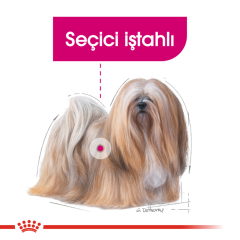 Royal Canin Mini Exigent Köpek Maması 3 kg