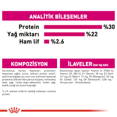 Royal Canin Mini Exigent Köpek Maması 3 kg