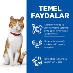 ﻿Hill's SCIENCE PLAN Ördekli Kısırlaştırılmış Yetişkin Kedi Maması 3 Kg