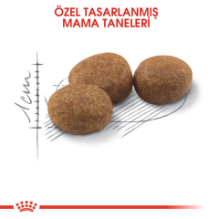 Royal Canin Sterilised 37 Kısırlaştırılmış Kedi Maması 10 Kg