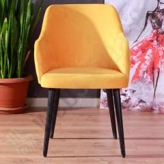 Truva Sarı Döşemeli Ahşap Kafe Sandalyesi Siyah