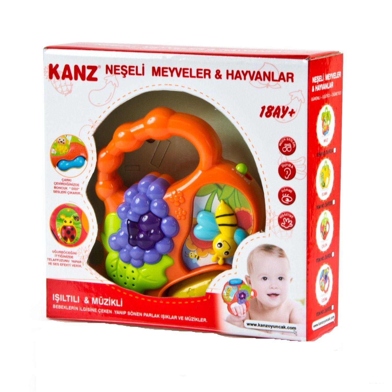 ENF-KNZ-WD3692ABCD KANZ NESELI MEYVELER 24