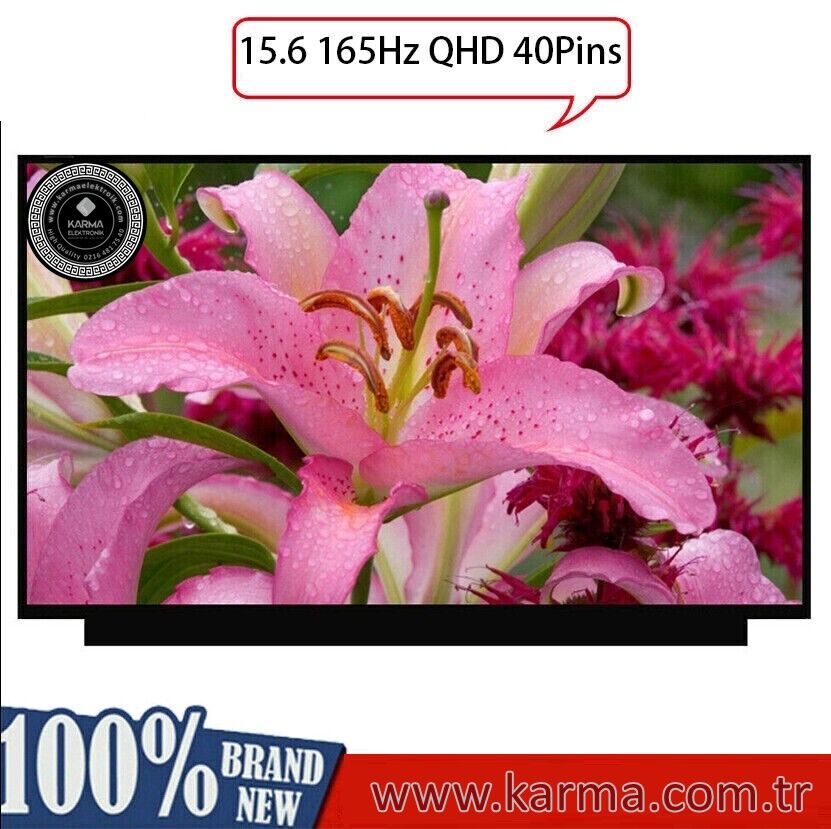 NE156QHM-NY2 V8.0 uyumlu Lcd Ekran - Panel / 165Hz / 40Pin WQHD (2K QUAD HD)