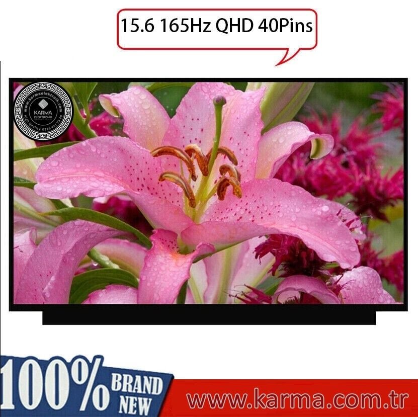 Asus ROG Strix G15 G513QM-HN347T uyumlu Notebook Lcd Ekran, Panel 2560x1440 WQHD (2K QUAD HD)