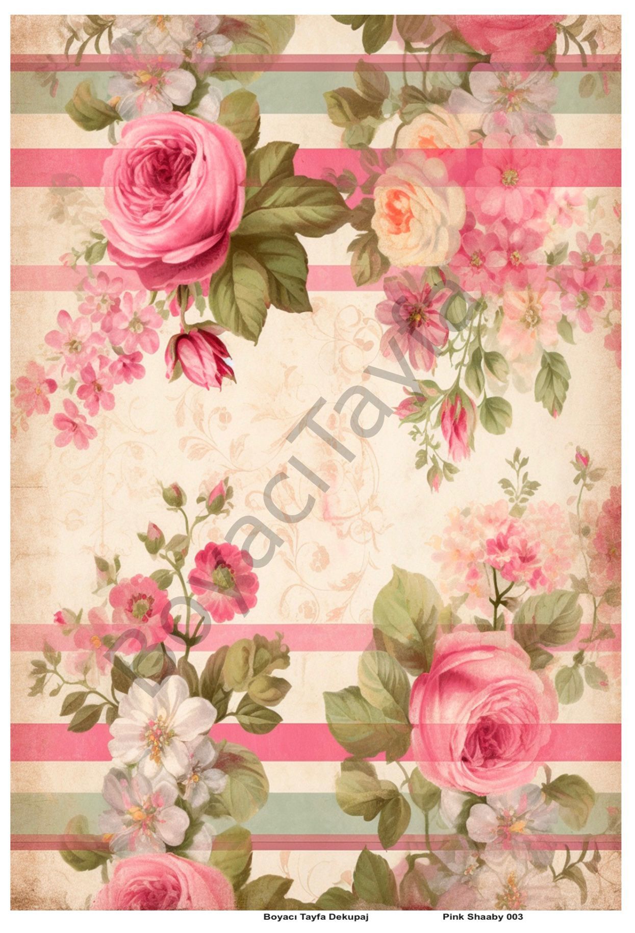 Pink Shaaby 003
